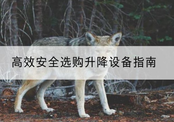 黄陵升降货梯厂家推荐-*安全选购升降设备指南
