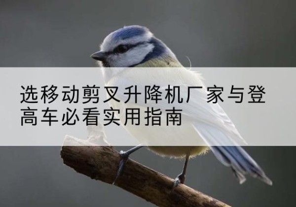 黄陵电动升降机厂家-选移动剪叉升降机厂家与登高车必看实用指南