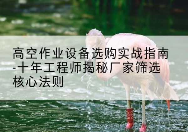 黄陵剪叉式升降机厂家-高空作业设备选购实战指南-十年工程师揭秘厂家筛选核心法则